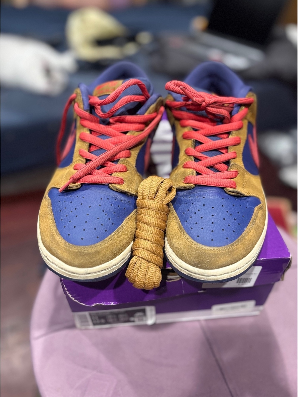 Nike Dunk SB Low Men's Size 11 Reverse Papa Bear Blue Red Brown BQ6817-700
